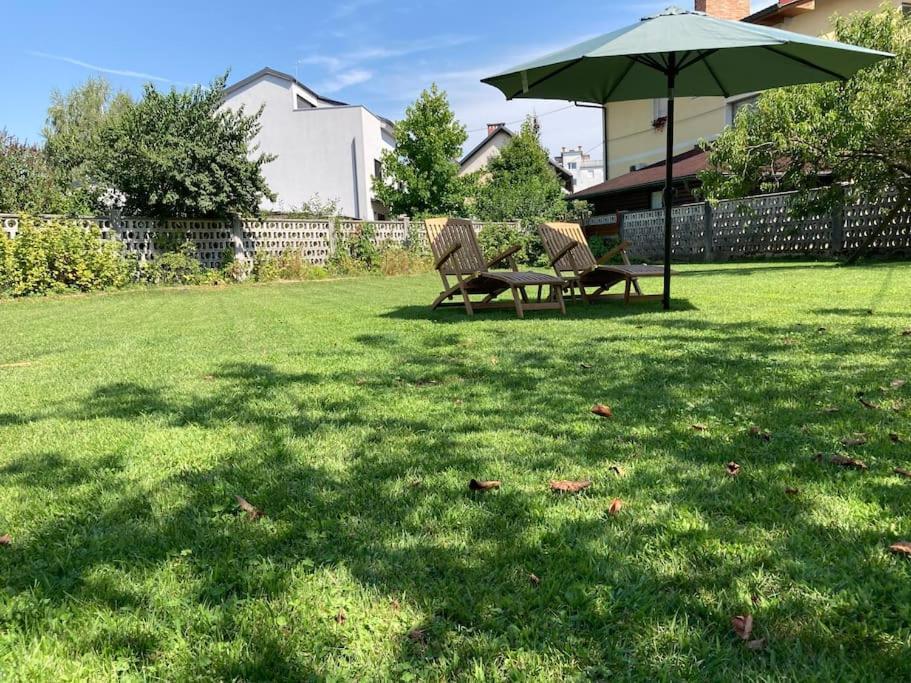 Huge Bbq Garden, Spacious Flat, Ac, Free Parking 4 Laibach Exterior foto